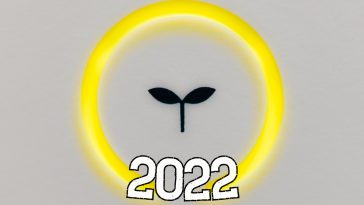 eko trendy 2022